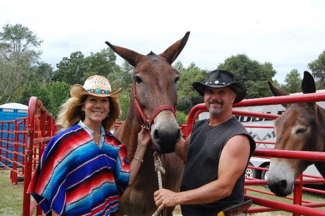 Mule Days 2015